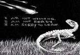 I AM NOT WILLING, I AM NOT READY, I AM SORRY TO LEAVE.