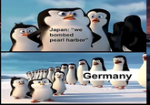 Japan: "we bombed pearl harbor" Germany