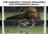 THE HARDEST CHOICE REQUIRES THE STRONGEST WILLS madel with mematic JIC
