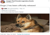 Images That Precede Legendary Events @Dogesire Doge 2 has been officially released OBB @ourbravestboy. May 10 Replying to @Pogsire I'm 2 hours late but here's Caesar > 3:06 AM May 10, 2020 Twitter for Android