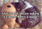 this is who you're asking to work 40hrs a week