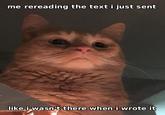 me rereading the text i just sent like i wasn't there when i wrote it