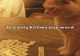 bro only knows one word MEOW