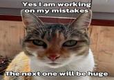 Yes I am working on my mistakes The next one will be huge edpanda.com
