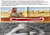 Did you know the contrary to popular belief, the "human remains" in Pompeii are not petrified bodies, rather, they're made out of plaster that's been poured into the molds that the decayed bodies left in the volcanic ash? Surface Plaster of Paris Outline of a body