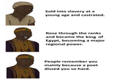 Sold into slavery at a young age and castrated. Rose through the ranks and became the king of Egypt, becoming a major regional power. People remember you mainly because a poet dissed you so hard.