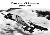 You can't hear a picture 過 made with mematic
