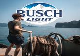 BUSCH LIGHT BREWED IN U.S.A. ANHEUSER-BUSCH ST. LOUIS.