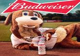 Budweiser EB Budweis KING OF BEEN bund by our origine prom AB SIREE Budwe KING OF BE Mowed by our original Hops Rice and NEWED AND CANNED Anheuser-Bard