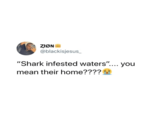 ZION @blackisjesus_ "Shark infested waters".... you mean their home????