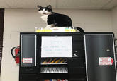 Sentry OPEN DOOR FOR DRINK SELECTION FRESH CAKE UP HERE SO ALLIE DOES NOT SIT ON INSERT COINS IN SLOTS SHOWN TURN HANDLE ON SIDE ONE FULL TURN