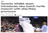 Sport Toronto WNBA team introduces new butch turtle mascot with she/they pronouns Aug 21 Written by Siân Thompson & Share ☐ Save for later 3 Comments Toronto Tempo Mascot Dez (Getty Images)