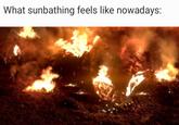 What sunbathing feels like nowadays: