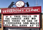 CARROLL COUNTY VETERINARY CLINIC FULL SERVICE HOSPITAL LYNN WIMMER D.V.M. IF A TREE FALLS IN THE FOREST AND NO ONES THERE TO SEE IT A CHIHUAHUA 500 MILES AWAY WILL BARK AT IT