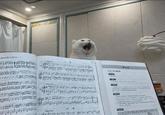 静的 Allegretto 10 W ----