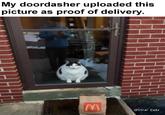 My doordasher uploaded this picture as proof of delivery. M @Viral Cats