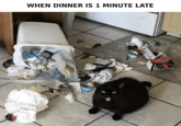 WHEN DINNER IS 1 MINUTE LATE NOTHI