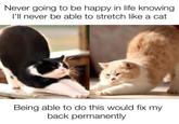 Never going to be happy in life knowing I'll never be able to stretch like a cat Being able to do this would fix my back permanently