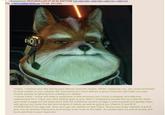 Anonymous 08/23/26(Sun)20:47:36 No.84917046 >>84917055 >>84917056 >>84917101 >>84917137 File: 1785724989678935.jpg (72 KB, 597x592) 101 >Falco, I noticed your diet during your intense exercise routine. While I applause you, you must remember to have protein in your calories list. Exercising too much without a good meal plan will make you lose muscle instead of gaining thus making you weaker. >I know Falco, I know red meat is expensive in this economy but I know a cheaper and effective replacement for it. Have you tried adding eggs to your diet? I understand people like you hate the taste and smell of eggs but the facts show that the nutritional content of eggs is phenomenal and greatly helps with giving your body the fats and proteins it needs as well as giving you Vitamin D and B12. >ESPECIALLY the egg yolk. Now don't get me started on that Falco. Giving your body vitamins A and E plus iron an already impressive food brings even more to the table. So please take my advice buddy and try to add that to your meal plan.