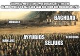 CALIPH AL-MUSTA'SIM'S WET DREAM EXPECTING THE ISLAMIC WORLD TO RALLY AND SAVE HIM FROM THE MONGOLS IN 1258 MONGOLS MAMLUKS imgflip.com AYYUBIDS BAGHDAD BEDOUINS SELJUKS