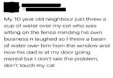 My 10 year old neighbour just threw a cup of water over my cat who was sitting on the fence minding his own business n laughed so I threw a basin of water over him from the window and now his dad is at my door going mental but I don't see the problem, don't touch my cat