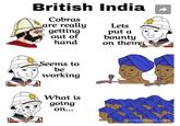 British India Cobras are really getting out of hand Lets put a bounty on them Seems to be working What is going on... boredpanda.com