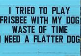 I TRIED TO PLAY FRISBEE WITH MY DOG WASTE OF TIME I NEED A FLATTER DOG 2022 SignPuns LLC