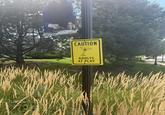 CAUTION ADULTS AT PLAY