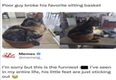 Poor guy broke his favorite sitting basket Mi Memes @memeig I'm sorry but this is the funniest $ I've seen in my entire life, his little feet are just sticking out