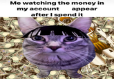 Me watching the money in my account appear after I spend it A WHE1 062
