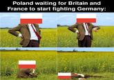 Poland waiting for Britain and France to start fighting Germany: MQ6837