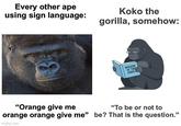 Every other ape using sign language: Koko the gorilla, somehow: WISDOM OF THE JUNGLE "Orange give me orange orange give me" imgflip.com "To be or not to be? That is the question."