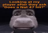 Looking at my player after they ask "Does a Nat 47 hit?" imgflip.com
