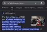 Q what do worms eat ✓ Al Mode All Images Short videos Videos F Al Overview The Diet of Worms of 1521 was a formal assembly of the Holy Roman Empire in Worms, Germany, convened to address Martin Luther and his religious teachings.