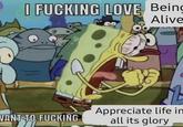 I F------ LOVE Being Alive VANT TO F------ Appreciate life im all its glory