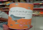 Bird Background YOUR TEXT HERE