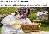 Me: Trying to fall asleep* My Brain: What if, Bee Keeper of Secrets?