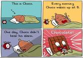 This is Choco. Every morning Choco wakes up at 8. One day, Choco didn't hear his alarm. Chocolate! THEMOKUMENTARY