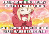 EVERY MORNING I PRAY TO THE TOMATO GODS AND THANK THEM FOR THE LIFE I HAVE BEEN GIVEN