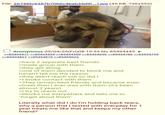 File: 26748fc9357b7066c4bab35d9(...).jpg (45 KB, 736x552) Anonymous 09/04/26(Fri) 08:19:53 No.85494445 ► >>85494471 >>85494494 >>85494550 >>85494696 >>85494786 >>85494795 >>85494827 >>85494875 >>85495623 >have 2 seperate best friends >made group with them >they get along >one of them decided to block me and haven't tell me the reason >they didn't reach out so did I >I broke contact with them >They remain best friends and became even closer then I ever was with them (it's been almost 2 years) >I try to reach out >blocks me everywhere and tells me to "forget about them" Literally what did I do I'm holding back tears, why a person that I texted with everyday for 1 year treats me like that and keeps my other friend?