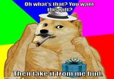 Oh what's that? You want this gift? Then take it from me bud. made with dogetizer