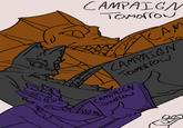CAMPAIGN Tomorrow CAN То CAMPAIGN Tomorrow CAMPAIGN Tomorrow
