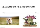 PUPPY hood is a spectrum imgflip.com