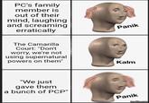 PC's family member is out of their mind, laughing and screaming erratically The Camarilla Court: "Don't worry, we're not using supernatural powers on them" "We just gave them a bunch of PCP" Panik Kalm Panik imgflip.com