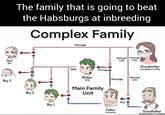 Girl Girl Boy 3 The family that is going to beat the Habsburgs at inbreeding Complex Family Marriage Boy 2 Boy 1 Wife Mother Wife Marriage, Main Family Unit Parental Parental Link Link Grandmother Grandfather's Wife Marriage Parental Link Father Husband Son Grandfather Grandmother's Husband