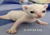 it will be kay