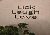Lick Laugh Love