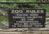ZOO RULES THOSE WHO THROW OBJECTS AT THE CROCODILES WILL BE ASKED TO RETRIEVE THEM.