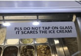 PLS DO NOT TAP ON GLASS IT SCARES THE ICE CREAM