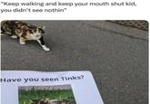 "Keep walking and keep your mouth shut kid, you didn't see nothin" Have you seen Tinks?